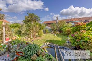 garden- click for photo gallery